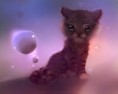 /album/galerie-photos/apofiss-tigre-jpg/